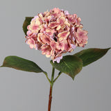 Barackszínű mű hortenzia zöld levelekkel, szürke háttér előtt.