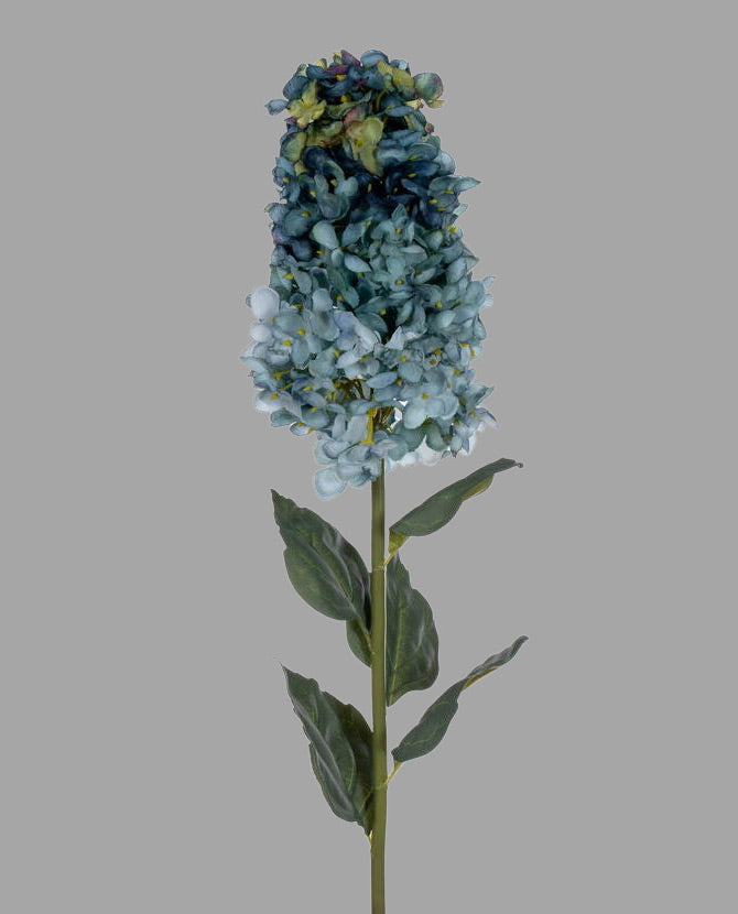 Fakó kék színárnyalatú hortenzia művirág.
