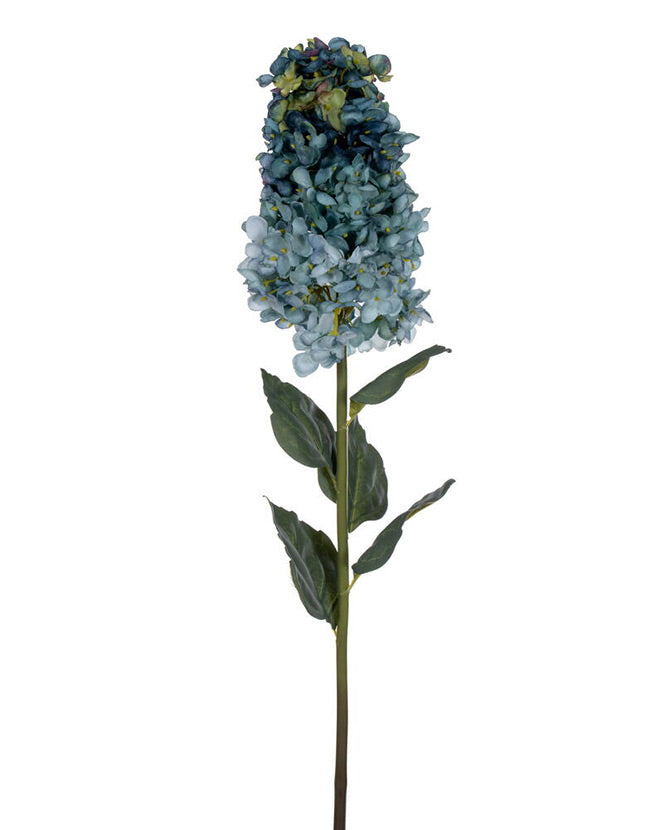 Fakó kék színárnyalatú hortenzia művirág.