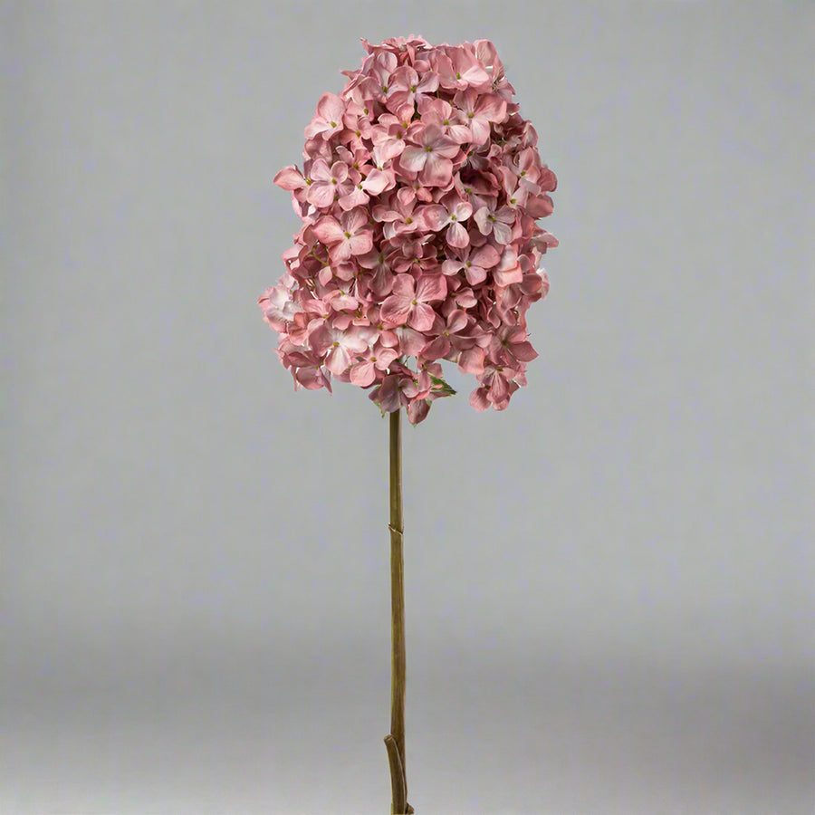 Teljes hosszában ábrázolt mű hortenzia ág fáradt pink színben, semleges háttérrel