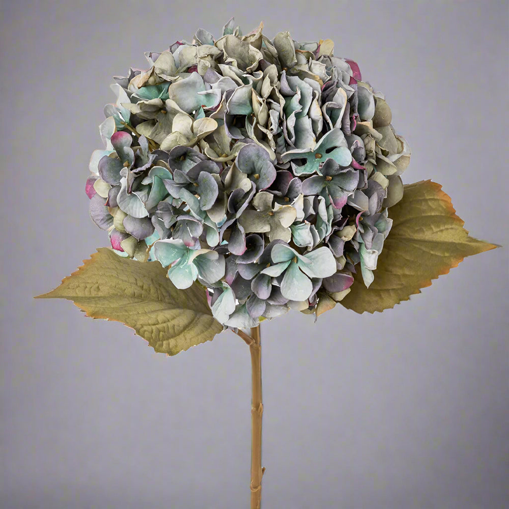 Hydrangea hortenzia művirág részletes fotó, fáradtkék árnyalatokkal és vintage stílusú levelekkel