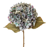 Fáradtkék színű, élethű hortenzia művirág ág zöld levelekkel, fehér háttéren – Hydrangea kollekció