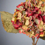 Fáradtkorall színű mű hortenzia ág.