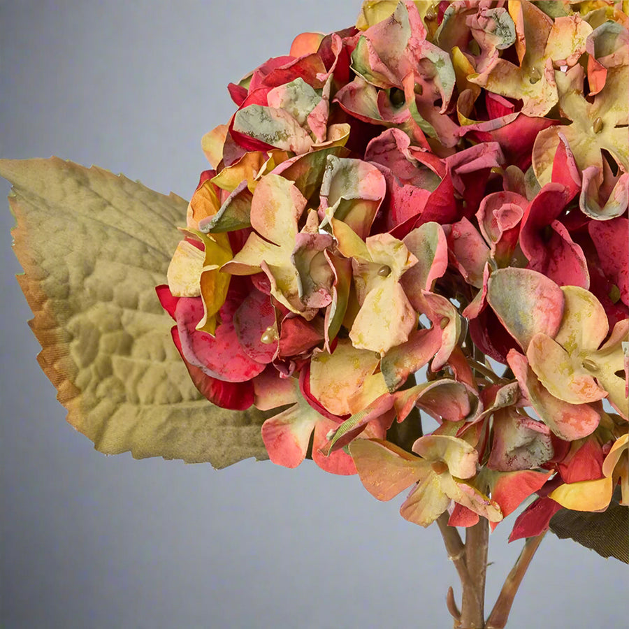 Fáradtkorall színű mű hortenzia ág.