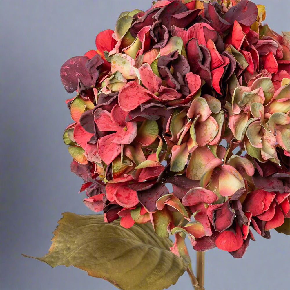 Hydrangea mű hortenzia virágfej részlet, fáradtkorall és zöldes tónusokkal, vintage stílusban