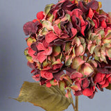 Hydrangea mű hortenzia virágfej részlet, fáradtkorall és zöldes tónusokkal, vintage stílusban