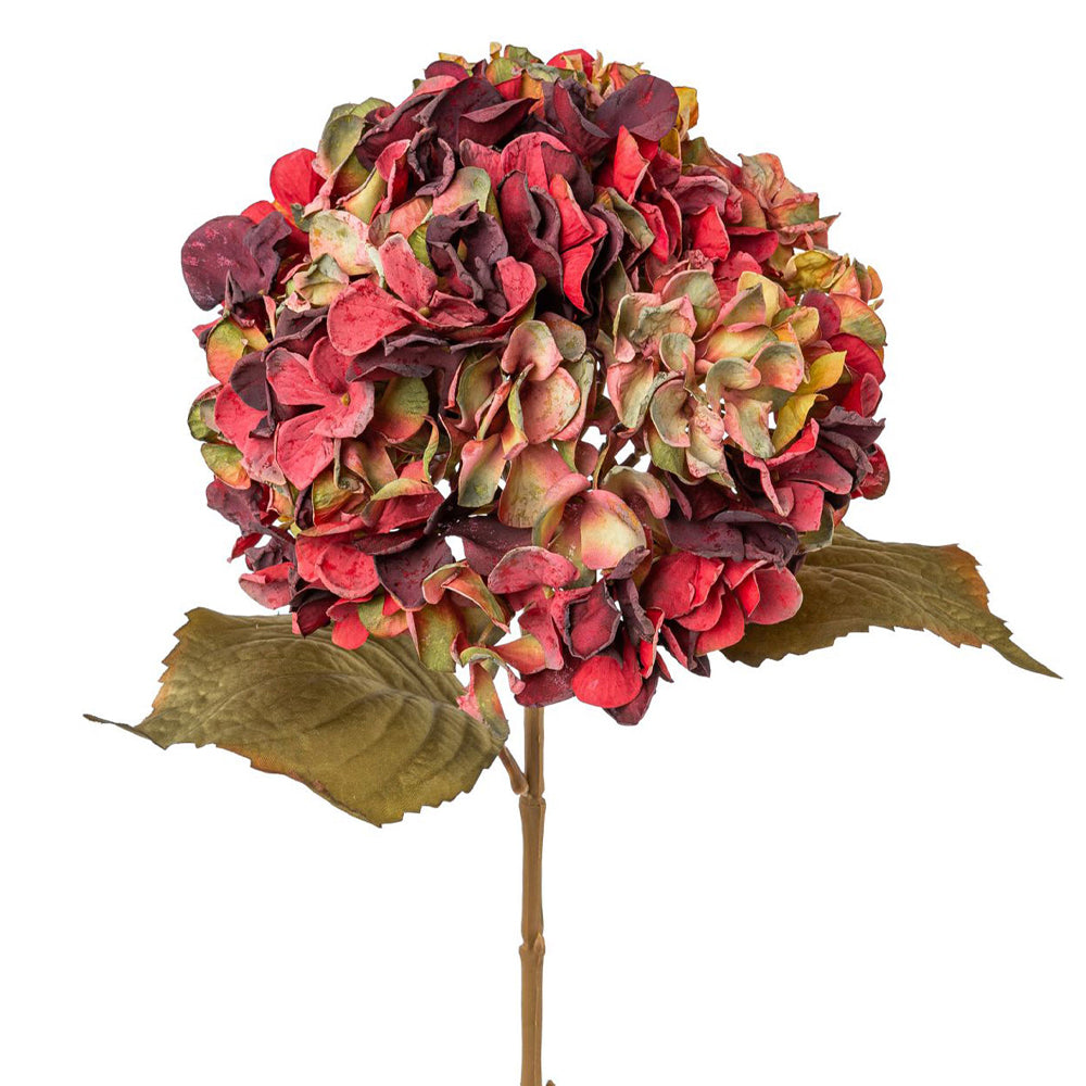 Fáradtkorall színű, élethű mű hortenzia ág zöldesbarna levelekkel, fehér háttéren – Hydrangea kollekció