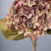 Fáradtmályva színű mű hortenzia ág.