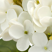 Real touch fehér hortenzia szirmok részletgazdag közelképe