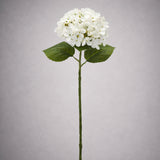 Fehér mű hortenzia teljes szálas dekorvirág elegáns megjelenéssel