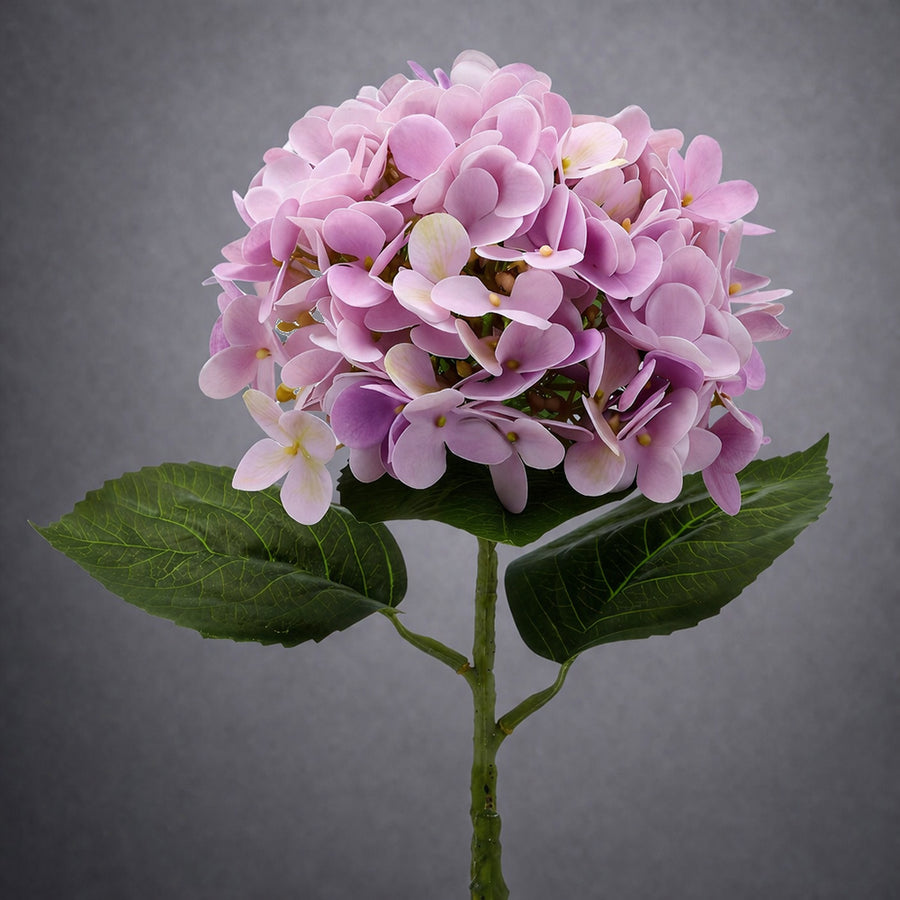 Halvány rózsaszín mű hortenzia élethű levelekkel szürke háttéren