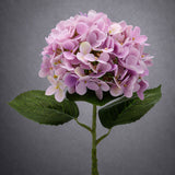 Halvány rózsaszín mű hortenzia élethű levelekkel szürke háttéren