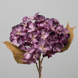 Fáradtlila színű mű hortenzia virág közeli képe.