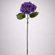 Lila mű hortenzia teljes szálas dekorvirág elegáns megjelenéssel