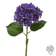Lila mű hortenzia 60 cm real touch hatású szirmokkal fehér háttéren