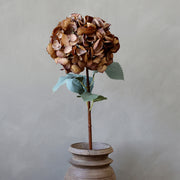 Mű hortenzia mokkaszínű virágfejjel, natúr váza előtt világos háttérrel.