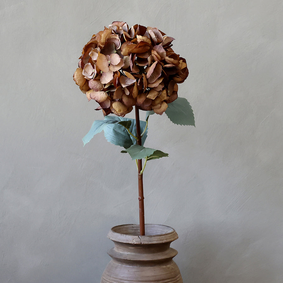 Mű hortenzia mokkaszínű virágfejjel, natúr váza előtt világos háttérrel.
