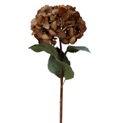 Gömb formájú, mokkaszínű mű hortenzia ág zöld levelekkel, fehér háttér előtt.