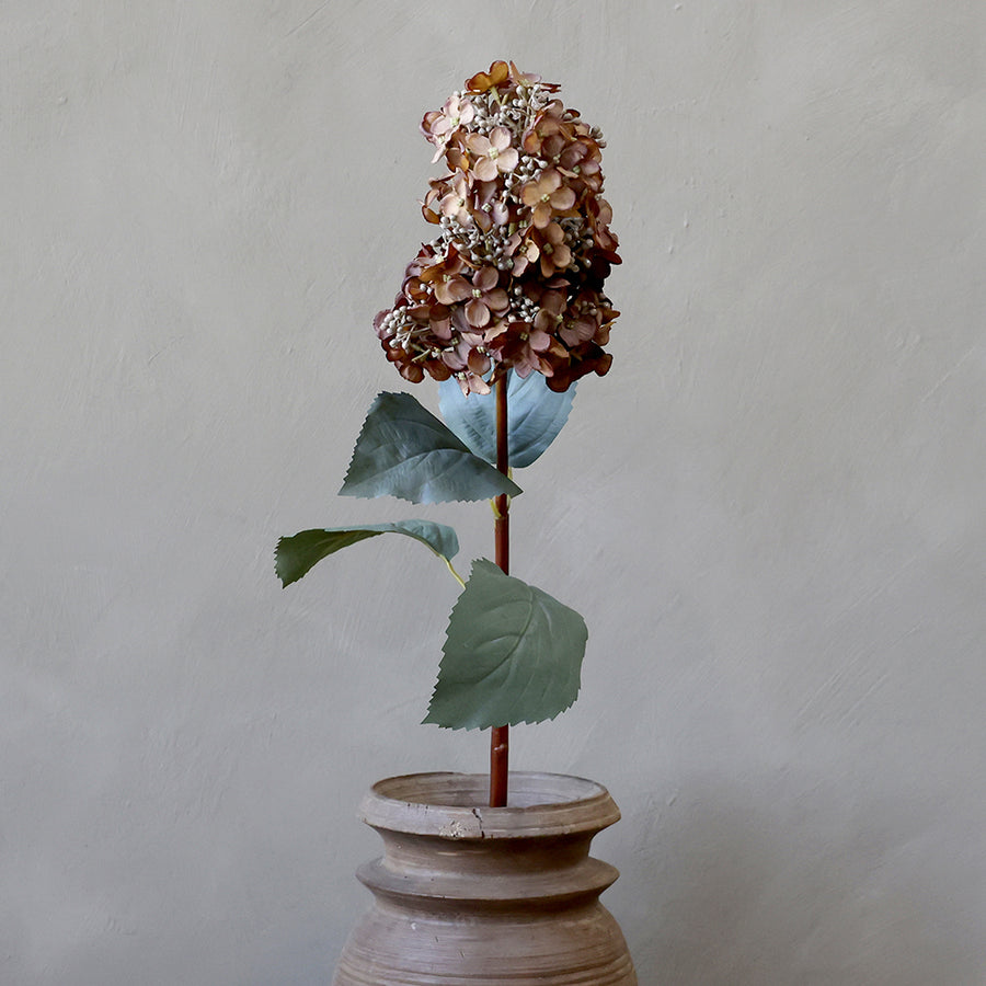Nagyméretű mű hortenzia mokkaszínű virágfejjel, kerámia vázába helyezve, világos fal előtt.