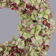 Hortenzia koszorú részletgazdag virágokkal közelről