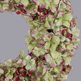 Hortenzia koszorú részletgazdag virágokkal közelről