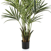 Fás törzsű KENTIA mű pálma fekete ültető kaspóban.