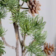 Közelkép a levélcsomókról – fényes, élethű 3D-s tűlevelek textúrával.