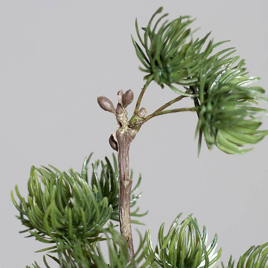 Az ág vége és rügyek – részletes kéregtextúra és formarészletek.