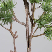 A LARIX ág elágazásainak közelije – természetes hatású barna szárak.