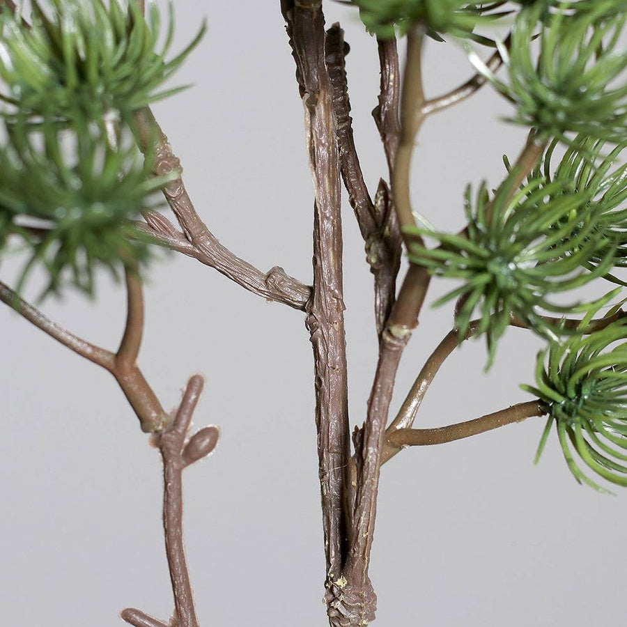 A LARIX ág elágazásainak közelije – természetes hatású barna szárak.