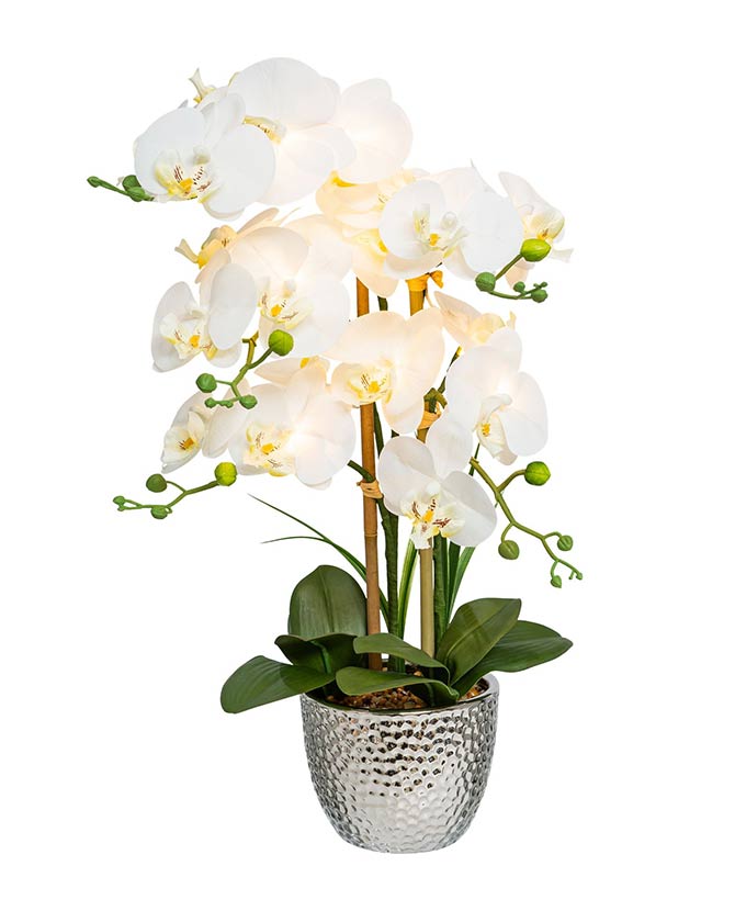Beépített LED világítással kialakított krémszínű mű orchidea, ezüst színű kaspóban.