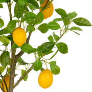 Mű citromfa.