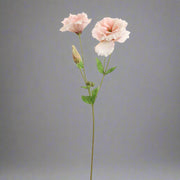 Pinkbe hajló, barackszínű, liziantusz művirág.