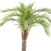 Élethű mű macaúba pálma dús, íves levelekkel 235 cm
