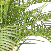 Realisztikus, zöld macaúba pálma levél közelről