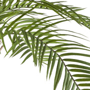 Realisztikus, zöld macaúba pálma levél közelről