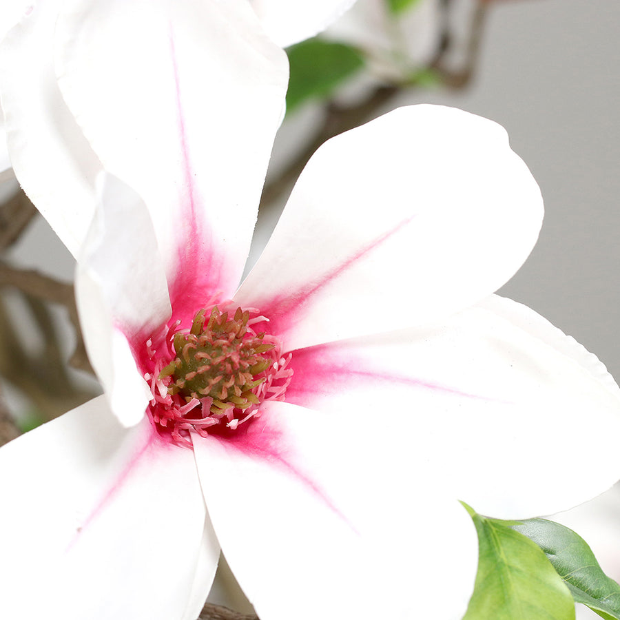 Fehér magnólia virág részlet élethű szirmokkal