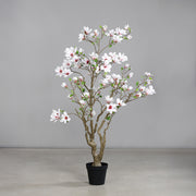 Nagyméretű fehér mű magnóliafa beltéri környezetben