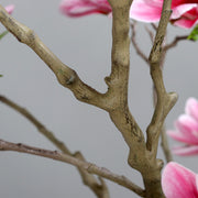 Natúr hatású mű magnóliafa törzs és ágak részlete