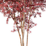 Maple Red természetes törzsű mű juharfa elágazó törzsének és lombjának részlete
