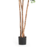 Maple Green természetes törzsű műfa fekete alapkaspóval 330 cm