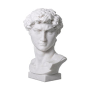 Fehér márványból faragott Dávid fej mellszobor