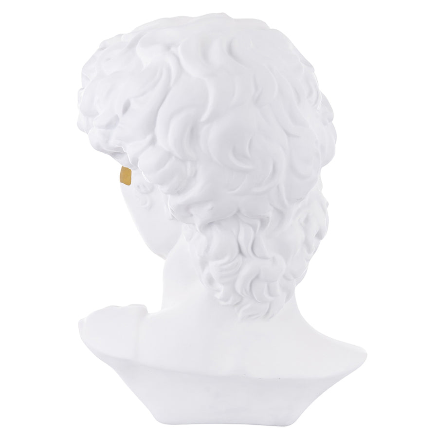 Aranyszínű maszkkal kontrasztozott, nagy méretű, fehér színű Dávid fej mellszobor.