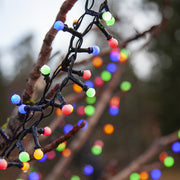 színes mini LED izzósor dekoráció természetes környezetben