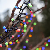 színes mini LED izzósor dekoráció természetes környezetben