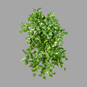 Mini levelekből álló, élethű megjelenésű, mű futóka csüngő.