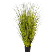 MISCANTHUS GOLD mű japánfű bokor 125 cm fekete kaspóban