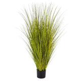 MISCANTHUS GOLD mű japánfű bokor 125 cm fekete kaspóban