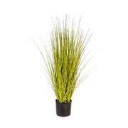 MISCANTHUS GOLD mű japánfű bokor 85 cm fekete kaspóban