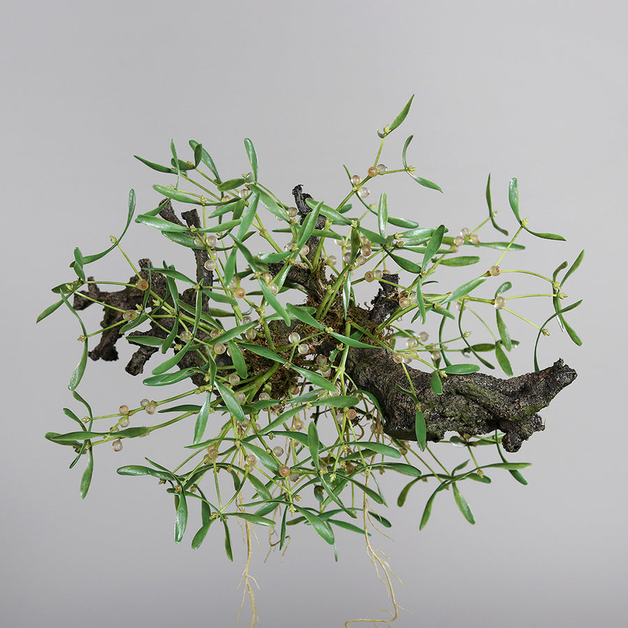 Impozáns méretű, prémium minőségű mű fagyöngy bokor ünnepi dekorációhoz, 58 cm-es kivitelben.